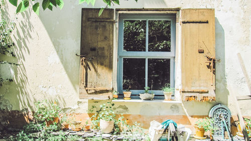 window