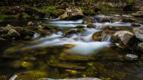 Stream flowing through rocks