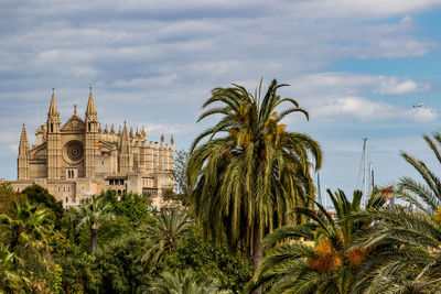 Cathedral la seu in palma on balearic island mallorca, spain on a sunny day