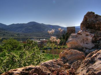 Scenic view of landscape against clear sky