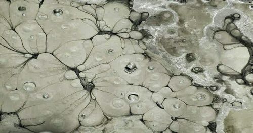 Close-up of water drops on ground