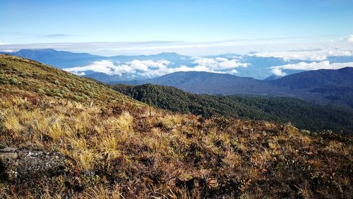 Scenic view of landscape against sky