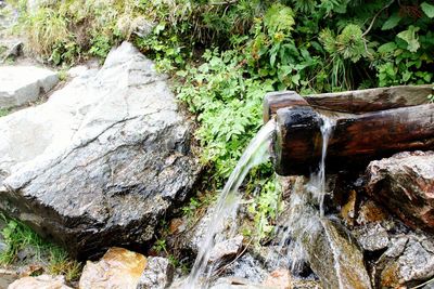 Water flowing through rocks in forest