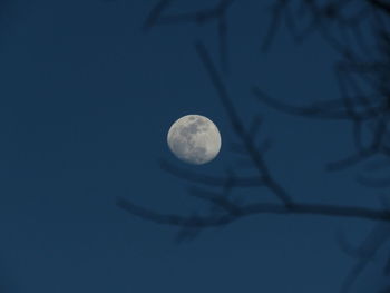 Low angle view of moon against clear sky at night