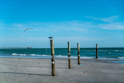 Wooden posts on beach against sky