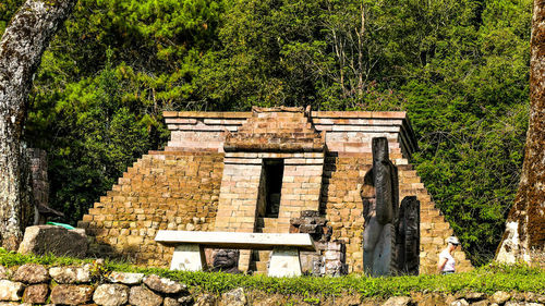 View of old building in forest