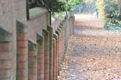 Sunlight falling on brick wall