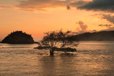 Scenic view of sea against sky during sunset