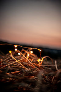 Close-up of illuminated fire against sky during sunset