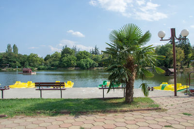 Scenic view of palm trees by lake against sky