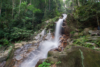 View of waterfall in forest