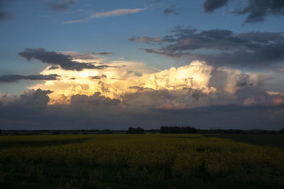 Scenic view of field against sky at sunset