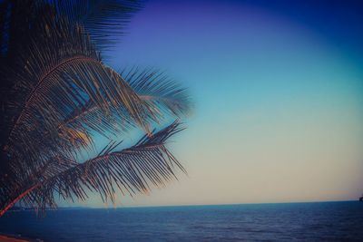 Scenic view of sea against clear sky at sunset