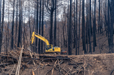 Excavator in