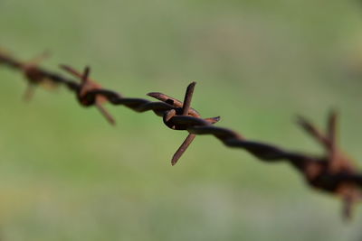 Close-up of leaf against sky