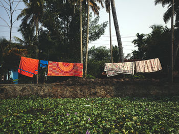 Clothes hanging on grass against sky