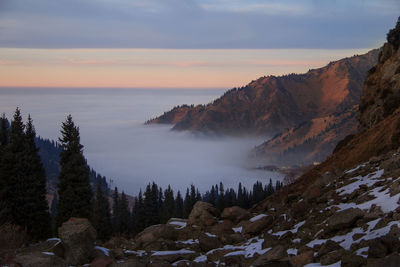 Top view of a mountain gorge in the clouds at sunset with stones and spruce forest