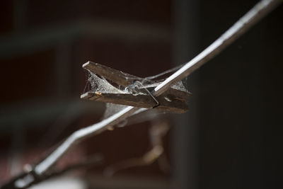 Close-up of broken glass on wood