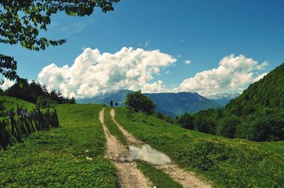 Scenic view of agricultural field against sky