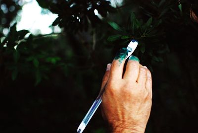 Close-up of hand holding paint brush