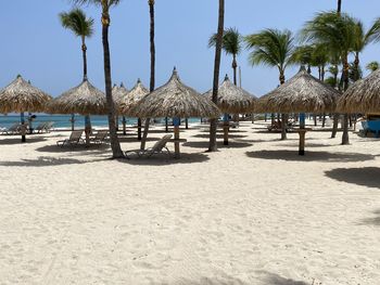 Palm trees on beach against sky