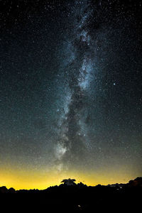 Low angle view of star field against sky at night