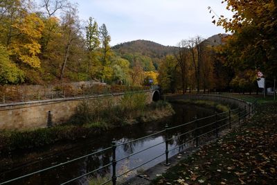 Scenic view of trees by plants against sky during autumn