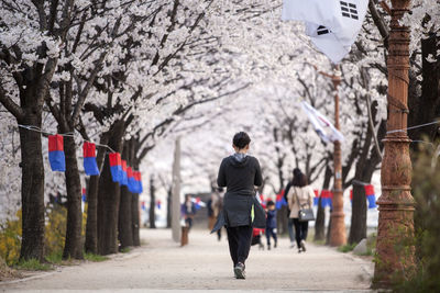 Rear view of woman walking on footpath amidst cheongsachorongs