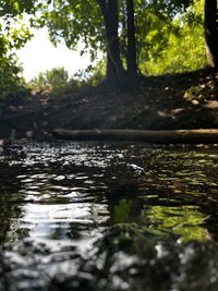 nature