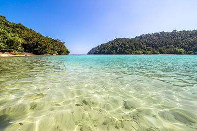 Scenic view of sea against clear blue sky