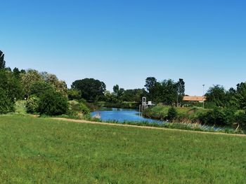 Scenic view of field against clear sky