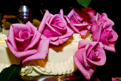 Close-up of pink roses