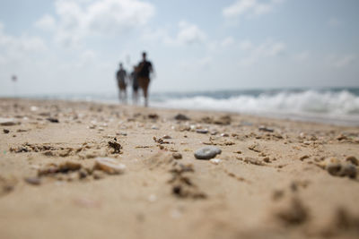 Surface level view of people at beach