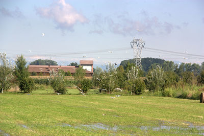 View of house on landscape