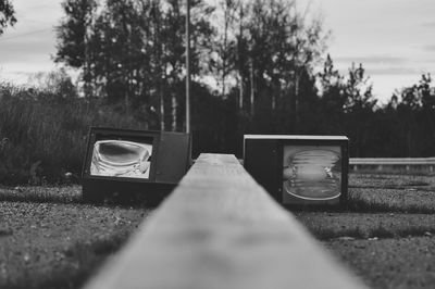 Close-up of trees and grass on field