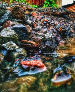 water