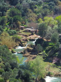 High angle view of river amidst trees in forest