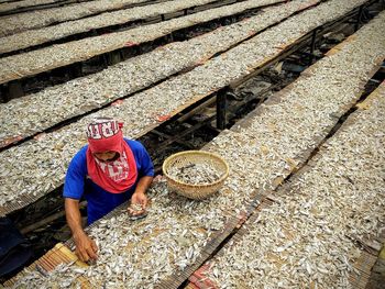 High angle view of mature man working in fishing industry