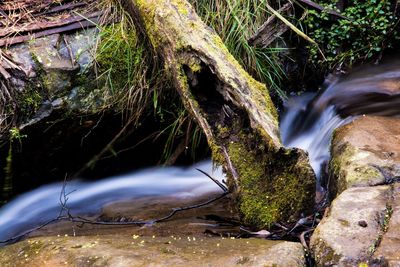 Scenic view of waterfall