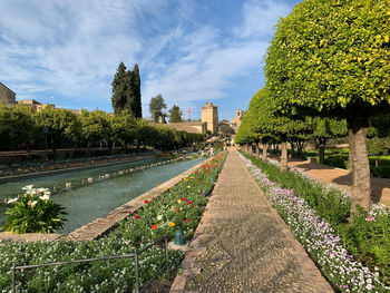 Flowers and fountain against sky