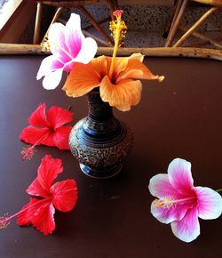 Close-up of flowers