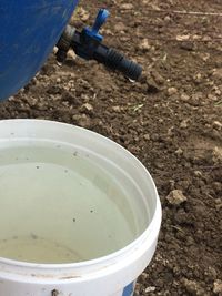 High angle view of food in bowl