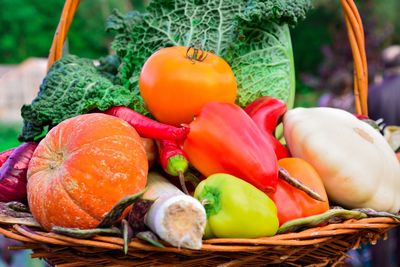 Close-up of vegetables in wicker basket