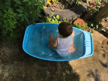 High angle view of baby in blue bucket with water by plants