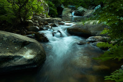 Stream flowing through rocks in forest