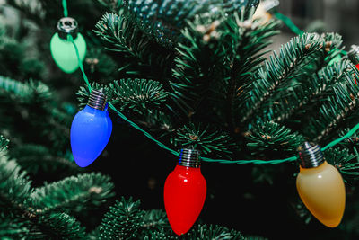 Close-up of christmas decoration hanging on tree