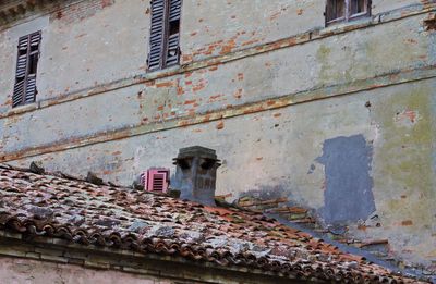 Cat on brick wall