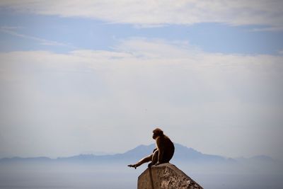 Man sitting on a bird