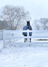 Rear view of woman standing on snow covered field