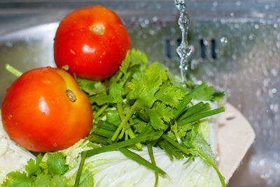 Close-up of tomatoes in water